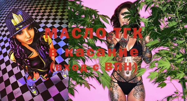 шишки Архангельск