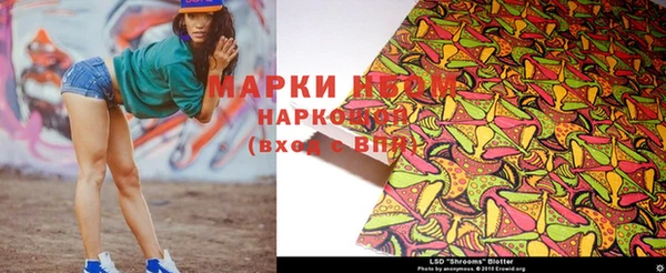 крисы Нижний Тагил