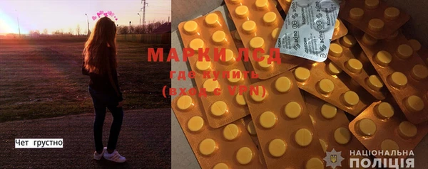 шишки Архангельск